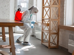 10 Surprising Facts about Mold Remediation and Why You Need It for Your Home or Office